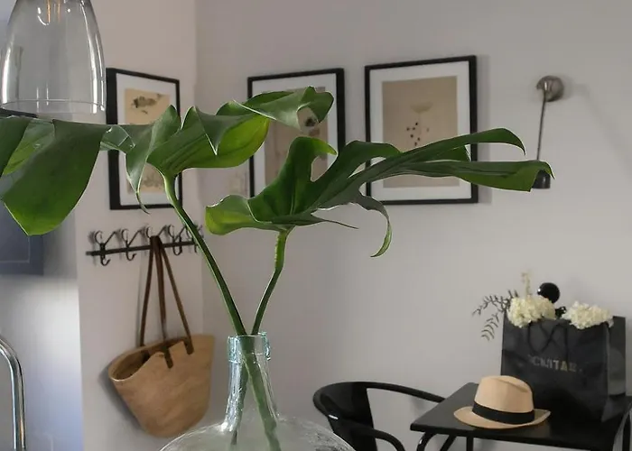 Campo De Santa Clara 98 Appartamento *